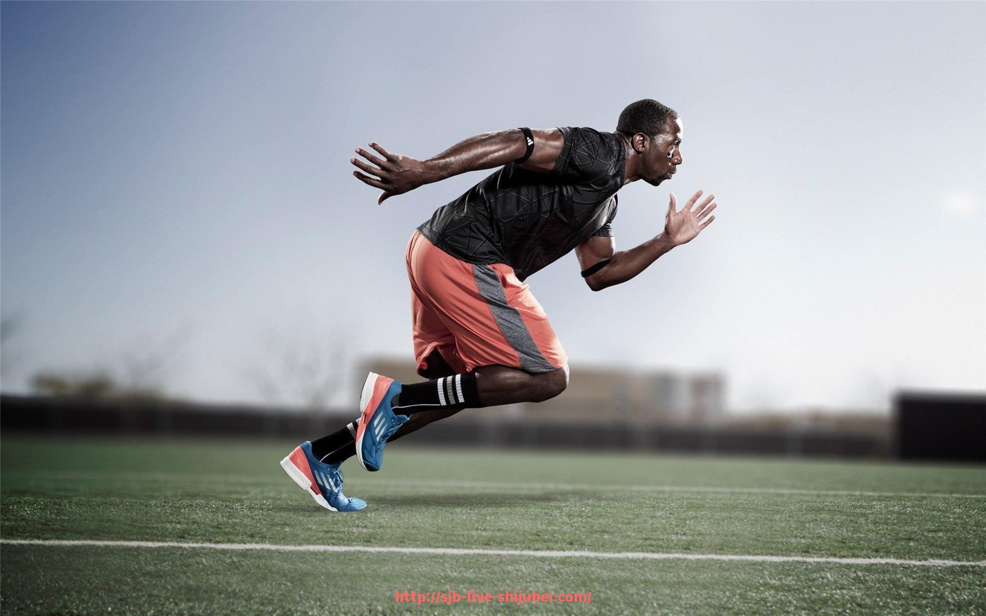 世俱杯直播-广州健身器材批发市场推荐：广州地区健身器材批发点详解